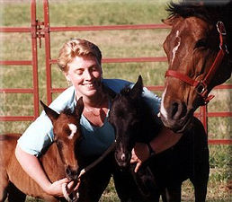 Heather and twin Sporthorse foals