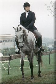 Tappy at the Hampton Classic in 1991